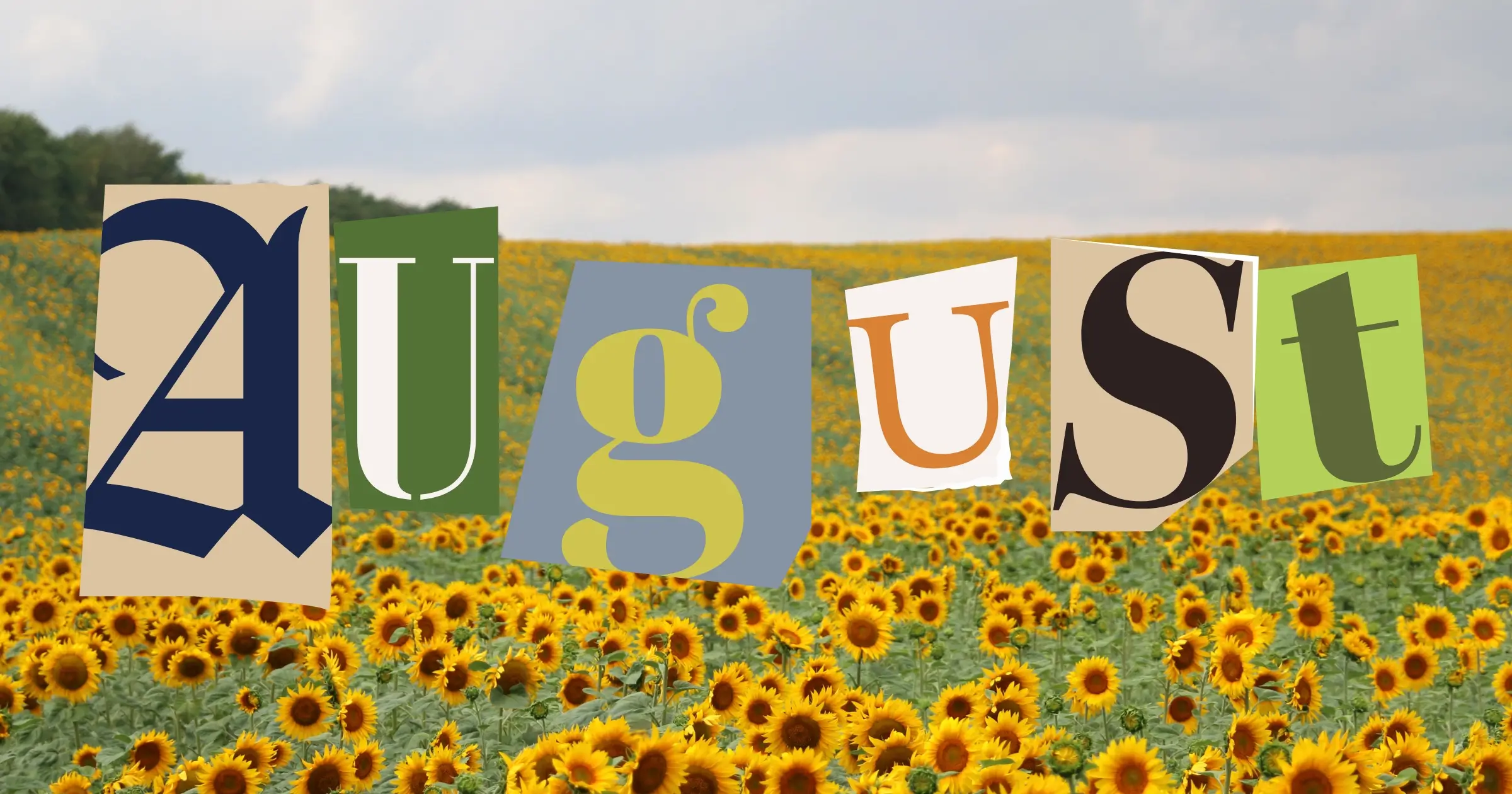 Kultur im August: Die Event-Tipps der Redaktion