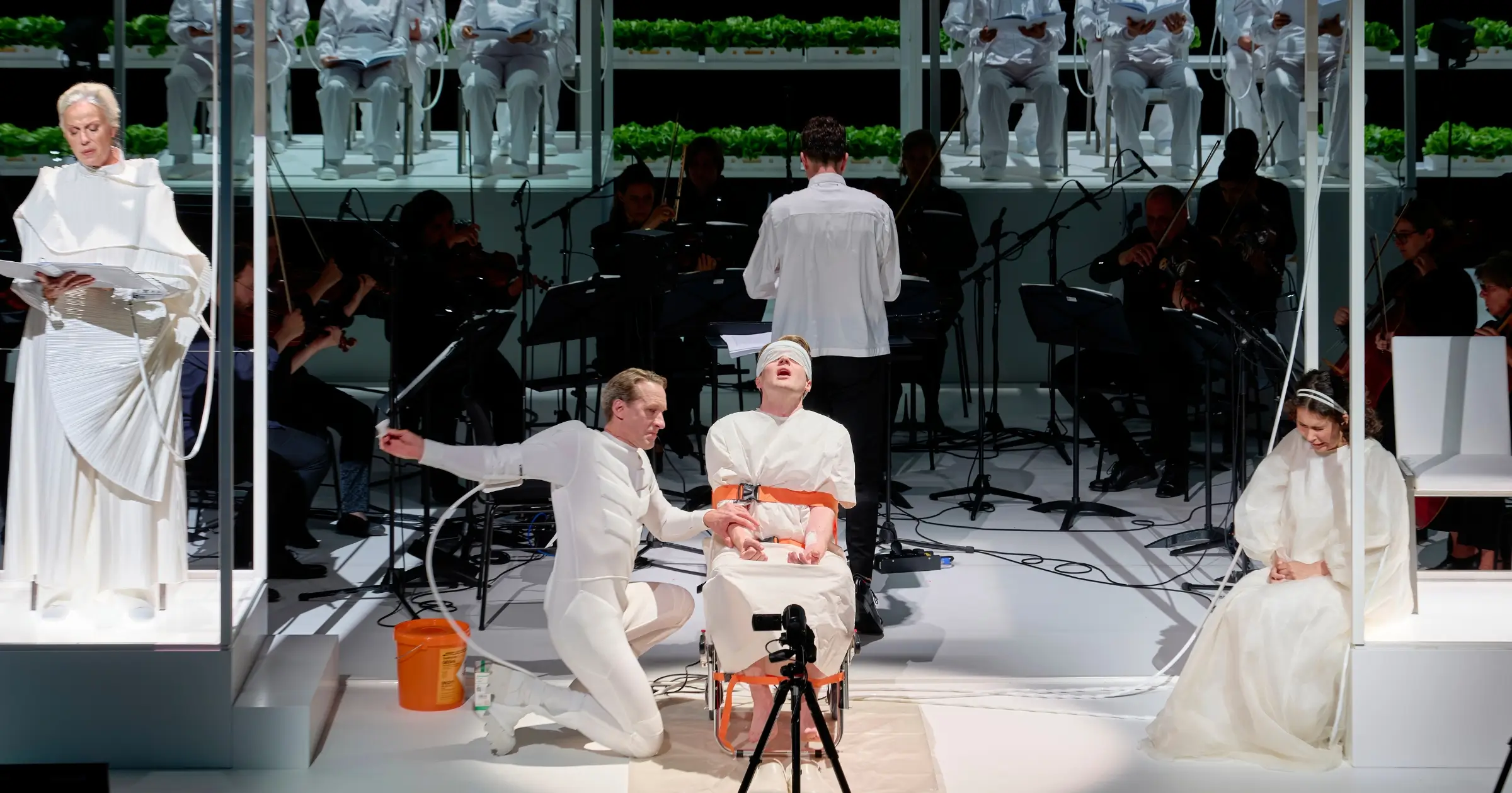 Leben und Leiden ** Passion of the Common Man – Bregenzer Festspiele